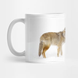 Coyote in Winter Mug